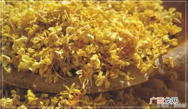 桂花的功效与作用？我国传统十大名花之一桂花的药用价值有哪些？