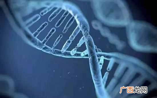 辩论赛规则和流程？你都知道那几个辩论赛制？