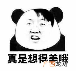 辩论赛规则和流程？你都知道那几个辩论赛制？