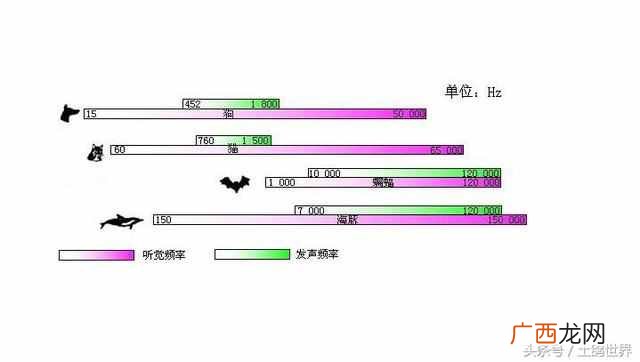 为什么次声波会杀人？为什么次声波能够杀死人？