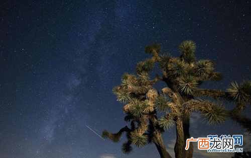 2020年流星雨什么时候有？2020年流星雨时间表具体时间日期