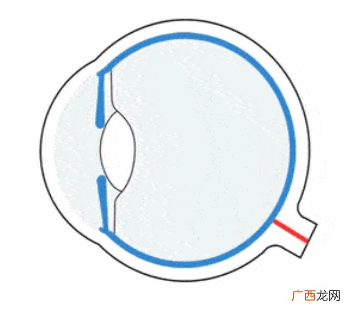 辛芷蕾脸宽，辛芷蕾偷偷割了比景甜还宽的大双眼皮
