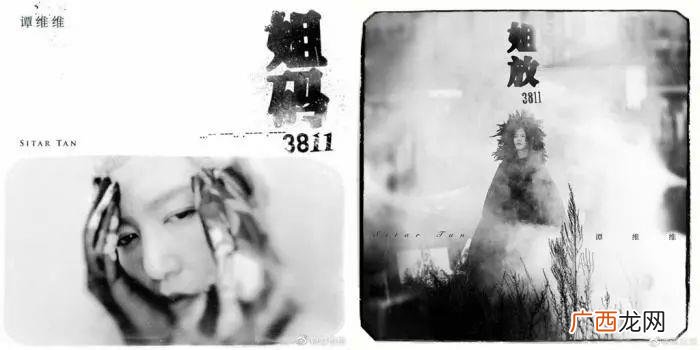 谭维维微博，谭维维深夜发微博感叹新专辑无人知
