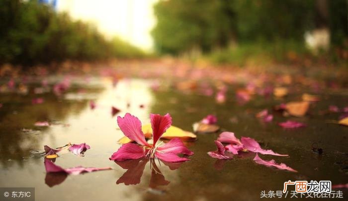 如此优美动听漂亮的句子 致未来自己的唯美句子