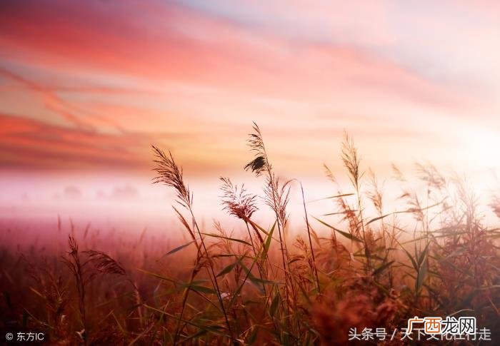 如此优美动听漂亮的句子 致未来自己的唯美句子