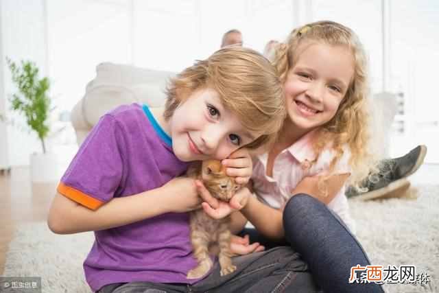 孩子被猫抓破了怎么办？先做好这3步，父母才能安心