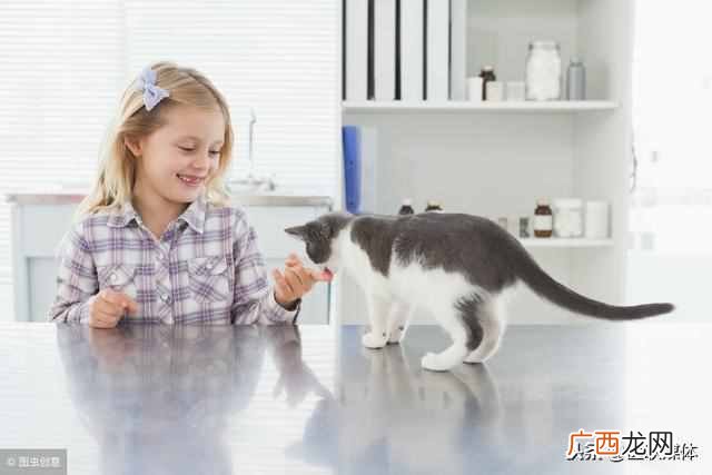 孩子被猫抓破了怎么办？先做好这3步，父母才能安心