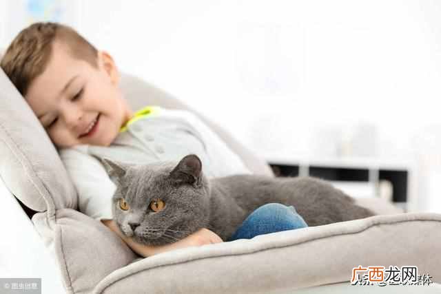 孩子被猫抓破了怎么办？先做好这3步，父母才能安心
