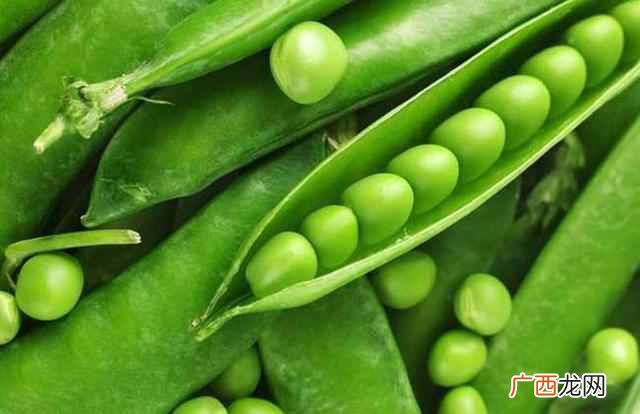 植物是怎么传播种子的？植物传播种子有哪些方法