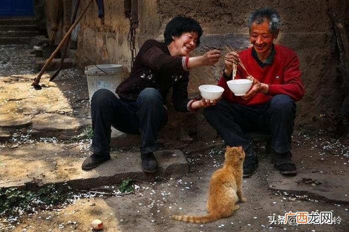 男人娶不了最爱的女人，男人的最爱、女人的最怕
