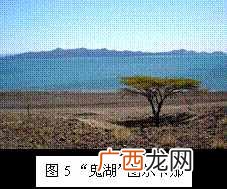 虹吸效应是什么意思？&amp;amp;#8203;何为虹吸现象？又是何原理？