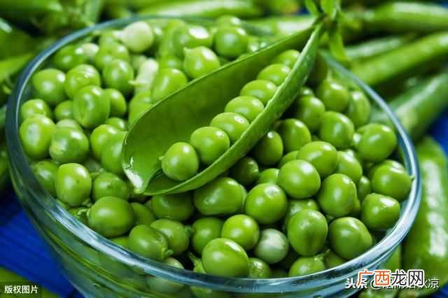 豌豆怎么吃？教你三种豌豆的常见做法