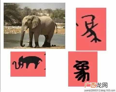 汉字的演变经历了什么过程？中国汉字的起源和演变你知道吗？