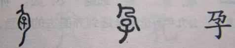 汉字的演变经历了什么过程？中国汉字的起源和演变你知道吗？
