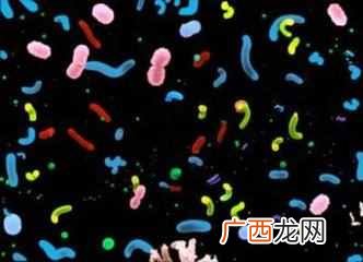海洋中最多的生物是？微生物：海洋中数量最多的生物