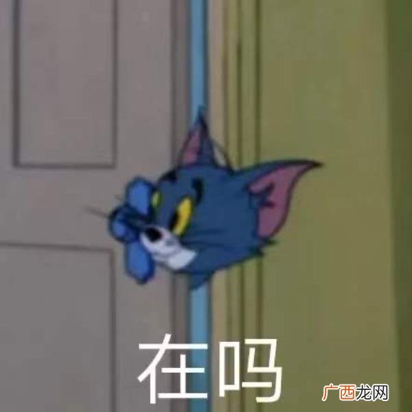 狮子座挽回不了的情况，死要面子的狮子座难挽回