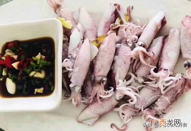 鱿鱼是鱼类吗？鱿鱼、墨鱼、章鱼有何区别？