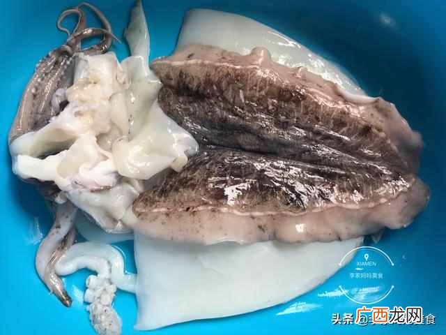 鱿鱼是鱼类吗？鱿鱼、墨鱼、章鱼有何区别？