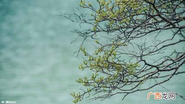 6-7月雨季中的稻城亚丁，是否值得去玩？
