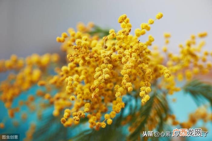 最新人生感悟的经典好句子 爱自己的经典句子