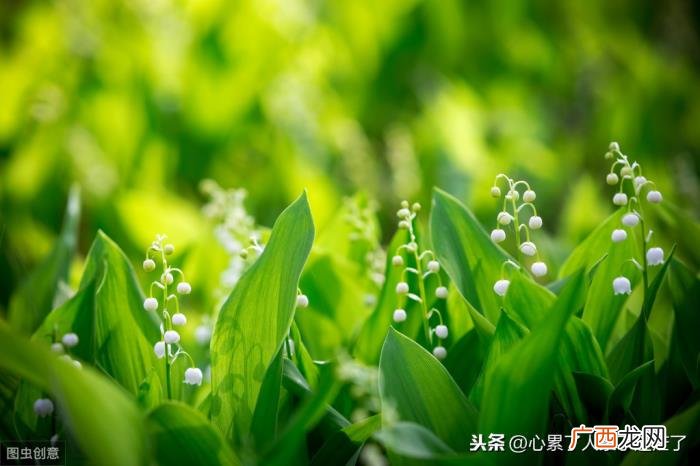 最新人生感悟的经典好句子 爱自己的经典句子