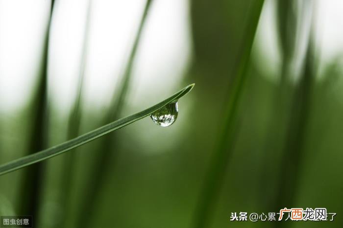 最新人生感悟的经典好句子 爱自己的经典句子