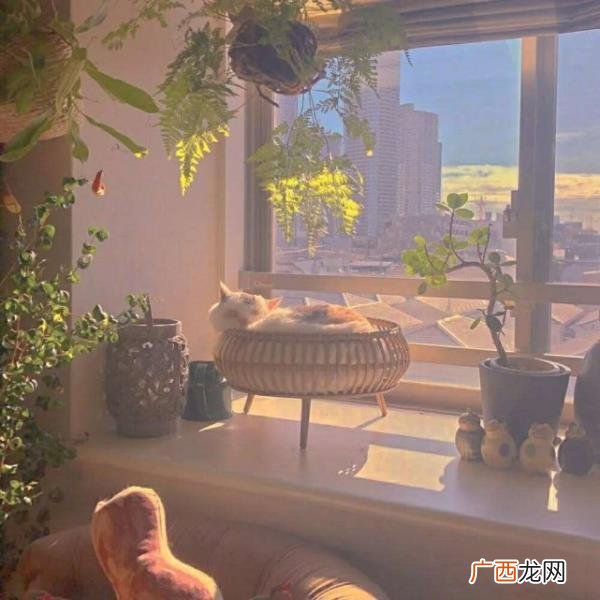 暗示想要处对象的文案,暗示自己单身的文案2