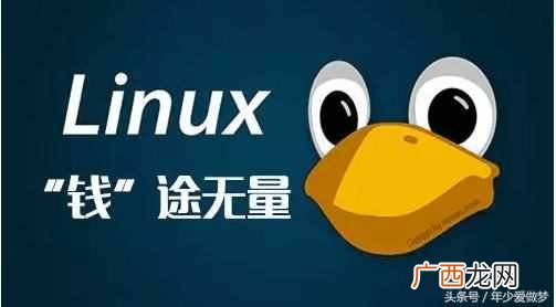ls是什么意思？什么是ls命令？点进来看最全的ls命令