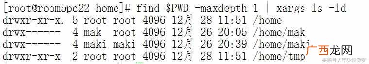 ls是什么意思？什么是ls命令？点进来看最全的ls命令