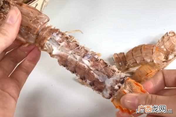 皮皮虾怎么剥?教你剥皮皮虾的小窍门,好吃到吮手指