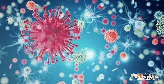 hiv阴性是什么意思？“HIV抗体阴性”艾滋病，意味着什么？