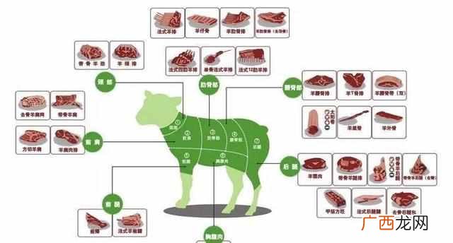 羊蝎子是羊的哪个部位？羊肉的这3个部位，是羊中三宝