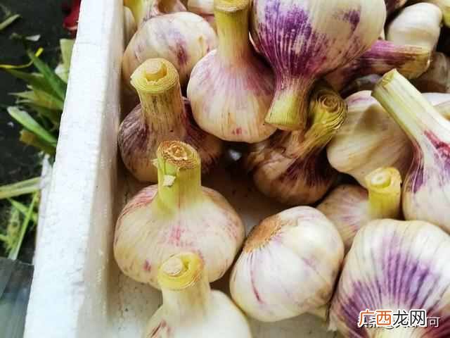 糖醋泡蒜的正确做法？配料及做法要收藏好，每年都可用