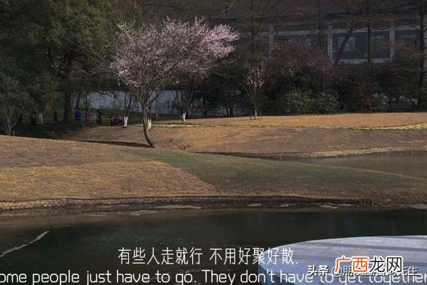 暗示自己离婚的文案，分手&amp;amp;离婚文案