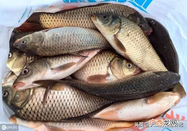 如何用一款经济实惠又简单的基础饵，玩转整个秋季野钓？