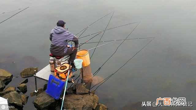 如何用一款经济实惠又简单的基础饵，玩转整个秋季野钓？
