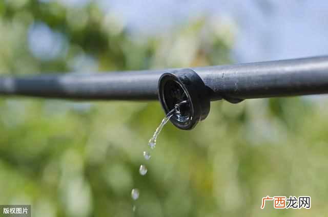 如何用水溶肥，正确使用水溶肥，吸收高、效果迅速提升数十倍