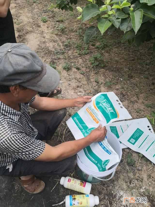 如何用水溶肥，正确使用水溶肥，吸收高、效果迅速提升数十倍