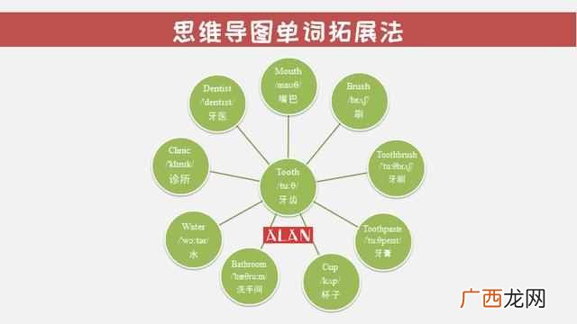 如何用单词tooth学会思维导图单词拓展法