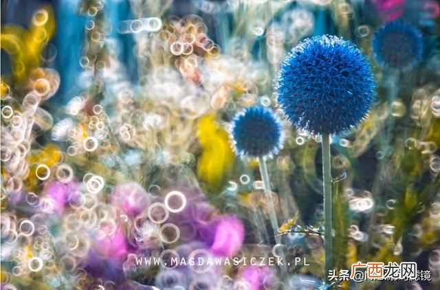 如何用好NiSi甜甜圈魔术镜？拍摄技巧汇总