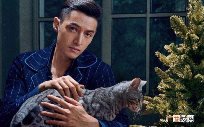 胡歌的气质,粉丝当面夸赞胡歌身上有独特的气质