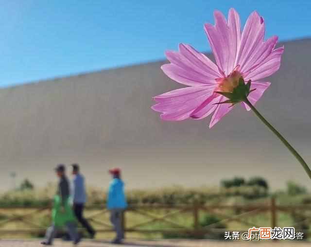 如何用手机拍出照片的层次美？这篇文章教会你