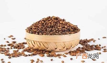 大麦茶的作用？经常喝大麦茶，对身体有这4大好处