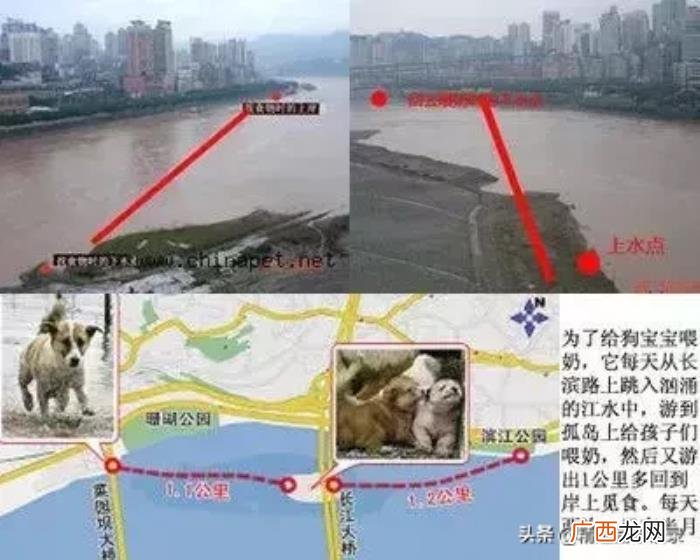 世界上最伟大的爱是母爱 关于母爱的句子
