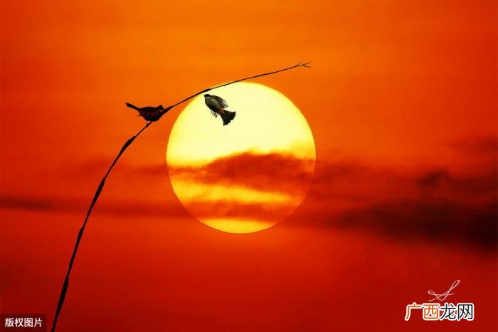 最全古诗词中的太阳 描写太阳的诗句
