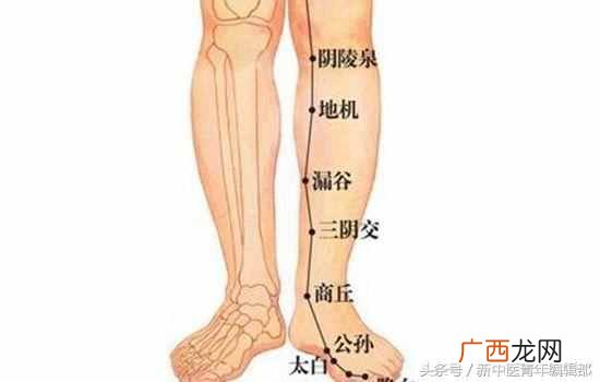 阴陵泉的位置？阴陵泉穴详解