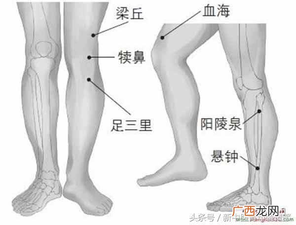 阴陵泉的位置？阴陵泉穴详解