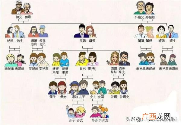 爸爸的哥哥还是弟弟叫叔叔，外甥与舅舅亲还是叔叔亲