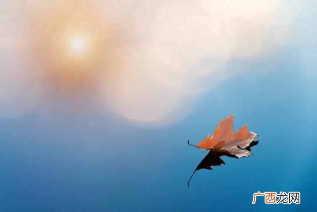 爱国诗句有哪些？十首爱国诗词，适合今天读