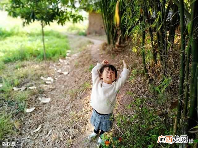 描写春天的古诗有哪些?描写春天的古诗词十首,忘了流年
